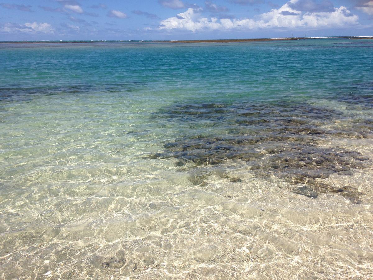Villa Albardao Serrambi Pôrto das Galinhas Eksteriør billede