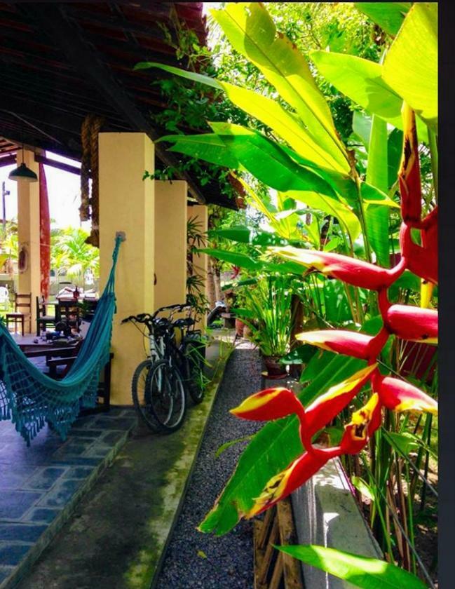Villa Albardao Serrambi Pôrto das Galinhas Eksteriør billede